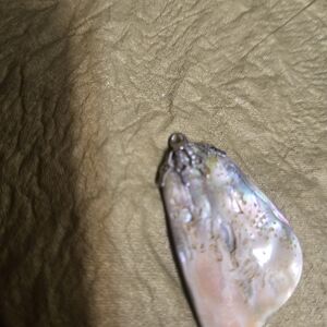 Elegant Iridescent Shell Pendant